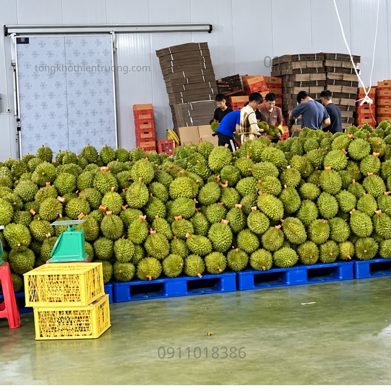 Pallet nhựa kê hoa quả
